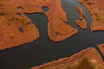 Dark river floating in orange marsh — Stock Photo