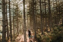Femme avec chien marchant dans la forêt — Photo de stock