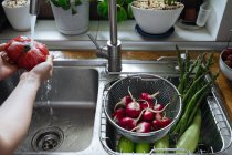 Руки мыть свежие овощи в раковине кухни — стоковое фото