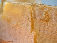Close-up of golden wax cells of honeycomb filled with organic honey — Stock Photo