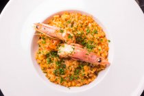 Risotto italien traditionnel aux crevettes sur plaque de céramique blanche — Photo de stock