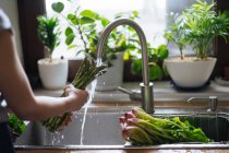 Mãos femininas lavando espargos verdes frescos na pia da cozinha — Fotografia de Stock