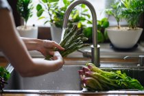 Manos femeninas lavando espárragos verdes frescos en fregadero de cocina - foto de stock