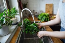 Женские руки моют свежую зелень в раковине кухни — стоковое фото