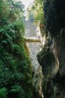 Vue en perspective de gorge rocheuse dans le canyon avec un feuillage tropical vert sous un soleil éclatant, Espagne — Photo de stock