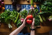 Vista del raccolto di mani femminili che prendono potherbs da tavolo elegante con verdure fresche sane e ingredienti di cottura di frutta dall'alto — Foto stock