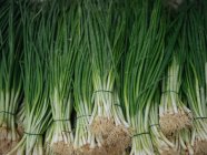 Fresh bunches of spring onions at farmer market — Stock Photo
