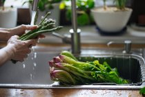 Руки мыть свежие овощи в раковине кухни — стоковое фото