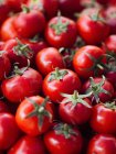 Haufen reifer roter, frisch gepflückter Tomaten — Stockfoto