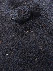 Occhiali su mucchio di semi di girasole asciugati — Foto stock