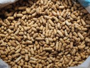 Nahaufnahme von frisch geschälten Erdnüssen im Sack — Stockfoto