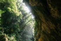 Cliff of rocky green canyon in sunlight — Stock Photo