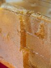 Primer plano de las células de cera dorada de panal lleno de miel orgánica - foto de stock