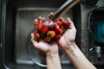 Menschliche Hände waschen Erdbeeren unter dem Wasserhahn — Stockfoto