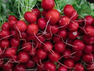 Montón de rábano rojo fresco en el mercado de los agricultores - foto de stock