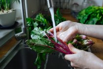 Mãos lavando verdes frescos e verduras na pia de cozinha — Fotografia de Stock