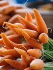 Bunches of fresh carrots at farmer market — Stock Photo