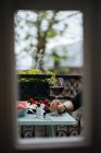 Vista de la cosecha de la mujer en blusa rayada sosteniendo elegante vaso de vino blanco sentado en la mesa de madera tablón con la bebida brillante sobre fondo borroso - foto de stock