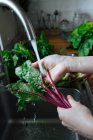 Mãos lavando verdes frescos e verduras na pia de cozinha — Fotografia de Stock