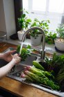 Manos lavando verduras frescas en fregadero de cocina - foto de stock