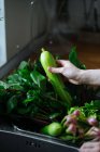 Lavage à la main des légumes frais dans l'évier — Photo de stock