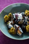 Північні морепродукти блюдо з мідіями та вершкового соусу на тарілку — стокове фото