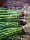Свіжі букети весняної цибулі на фермерському ринку — стокове фото