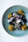 Северное блюдо из морепродуктов с мидиями и сливочным соусом на тарелке — стоковое фото