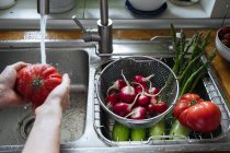 Руки миють свіжі овочі в кухонній мисці — стокове фото