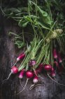 Fresh picked radishes with stalks on dark wooden surface — Stock Photo