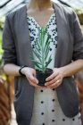 Primo piano di mani femminili che tengono la pianta in vaso — Foto stock