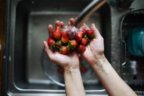Menschliche Hände waschen Erdbeeren unter dem Wasserhahn — Stockfoto