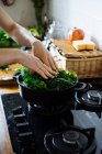 Human hands putting spinach leaves in pot on gas stove — Stock Photo
