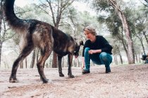 Grande cane marrone e proprietario che gioca nella foresta con la palla — Foto stock