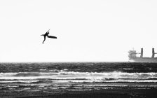 Foto en blanco y negro de silueta de surfista cometa sosteniendo tabla volando sobre la superficie del agua del mar en la costa? en el día de verano - foto de stock