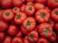 Heap of ripe red fresh picked tomatoes — Stock Photo