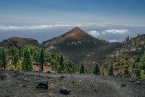 Montanhas cinzentas secas com árvores coníferas no vale e solo rochoso cinzento, La Palma, Espanha — Fotografia de Stock