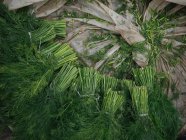 Гроздья свежего укропа в куче на ткани на фермерском рынке — стоковое фото