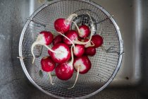 Laver les radis frais dans une passoire dans un évier — Photo de stock