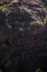 Dall'alto vista degli uccelli che volano in alto sopra scricchiola verde con scogliera rocciosa enorme, Spagna — Foto stock