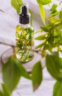 Ефірна олія мигдалю, з квітами та натуральними травами на фоні зеленого листя — стокове фото