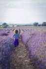 Entzückendes kleines Mädchen zu Fuß in lila Lavendelfeld — Stockfoto