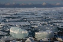 Blocos de gelo enormes na água, Svalbard, Noruega — Fotografia de Stock