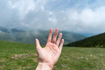 Рука с крошечной божьей коровки на пальце на фоне зеленого летнего пейзажа с горами в облаках — стоковое фото