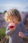 Encantadora niña comiendo melocotón jugoso y mirando a la cámara en el campo - foto de stock