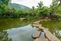 Piedras dispuestas en pasarela sobre aguas tranquilas de estanque con exuberante follaje tropical alrededor, bosque lluvioso de Yanoda - foto de stock