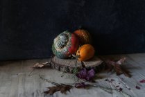 Colorful pumpkin composition on wooden piece on dark background — Stock Photo