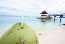 Кукурудзяний чоловік тримає зелений кокос на пляжі — стокове фото