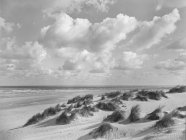 Costa arenosa com grama no dia ventoso e nublado — Fotografia de Stock
