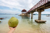 Turista de cultura com bebida de coco na praia — Fotografia de Stock